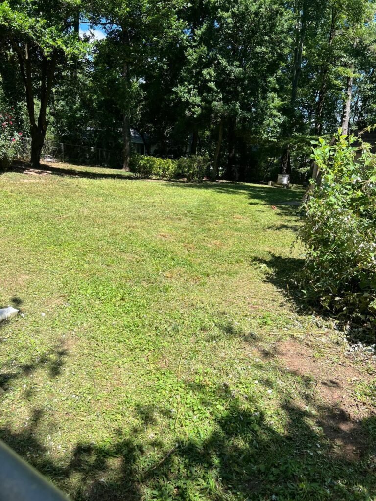 Imagen de WhatsApp 2025-12-17 a las 13.19