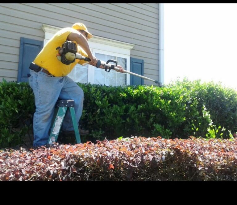 Imagen de WhatsApp 2025-12-17 a las 15.06