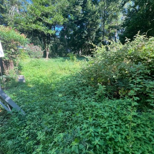 Imagen de WhatsApp 2025-12-17 a las 13.19.18_939c6577