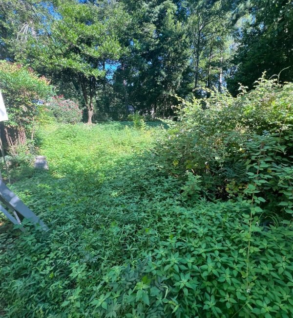 Imagen de WhatsApp 2025-12-17 a las 13.19.18_939c6577