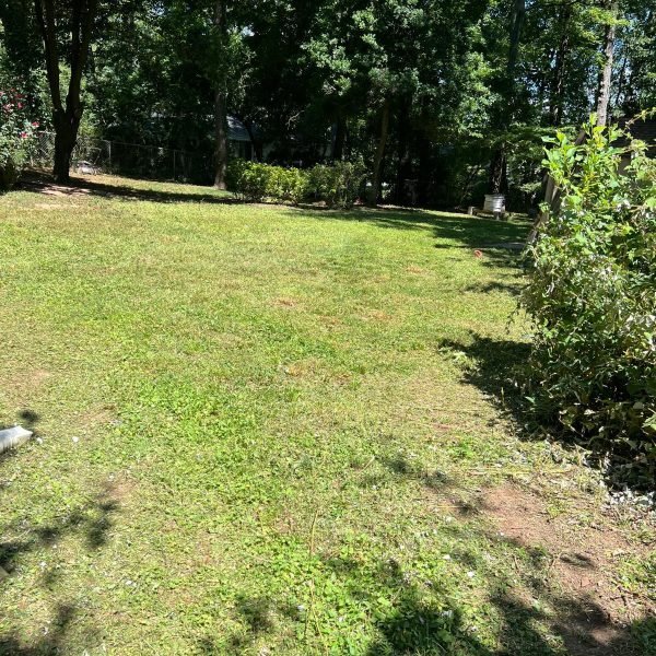 Imagen de WhatsApp 2025-12-17 a las 13.19.33_345fd286