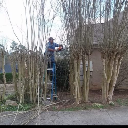 Imagen de WhatsApp 2025-12-17 a las 15.06.59_ab6b4eff