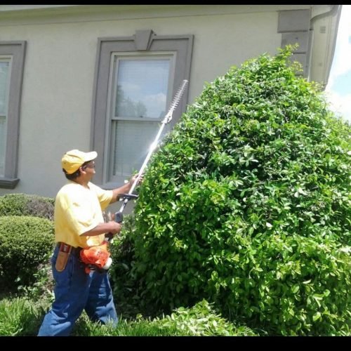 Imagen de WhatsApp 2025-12-17 a las 15.07.09_4946a316